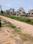 New Royal Enclave Internal Roads 2