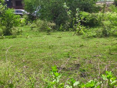 Image of 1615 Sq.ft Residential Plot / Land for sale in Kamptee, Nagpur for Rs. 3149000
