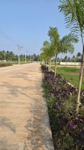 Image of 720 Sq.ft Residential Plot / Land for sale in Allipuram, Nellore for Rs. 1000000