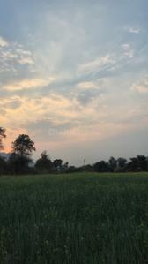 Balcony Image of 5000 Sq.ft 1 RK Farm House for sale in Homeland IIT Town Simrol, Simrol Indore for Rs. 1500000