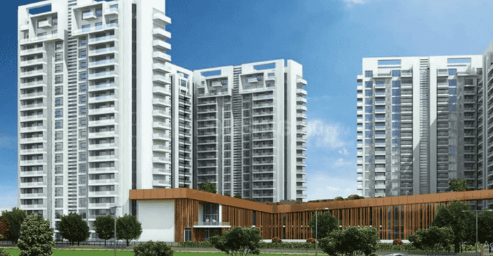 Brigade  Buena Vista More Images 1