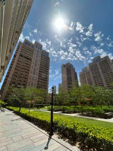 Image of 1085 Sq.ft 2 BHK Apartment / Flat for rent in ACE Parkway, Sector 150, Noida for Rs. 50000