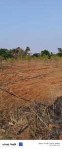 Image of 100 Sq.ft Residential Plot / Land for sale in Yellamanchili, Visakhapatnam for Rs. 600001