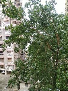 Image of 600 Sq.ft 1 BHK Apartment / Flat for sale in Colaba, Mumbai for Rs. 25000000