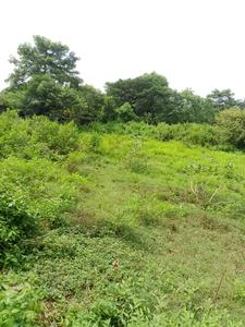 Image of 87686 Sq.ft Residential Plot / Land for sale in Uttara, Bhubaneswar for Rs. 170000000