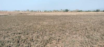 Image of 1089 Sq.ft Residential Plot / Land for sale in Hamarapur, Raigad for Rs. 265000