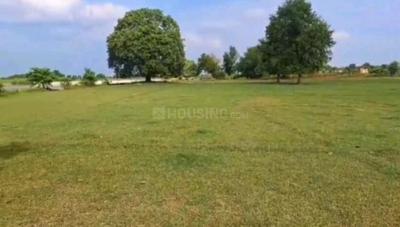 Image of 43560 Sq.ft Residential Plot / Land for sale in Ashapur Village, Ayodhya for Rs. 66000000