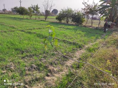 Image of 15525 Sq.ft Residential Plot / Land for sale in Kursauli, Kanpur for Rs. 3800000