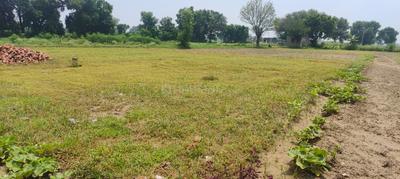 Image of 12600 Sq.ft Residential Plot / Land for sale in Sector 126, Faridabad for Rs. 42000000