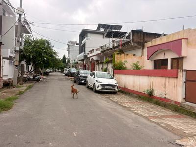 Image of 2900 Sq.ft 5 BHK Independent House for sale in Telibagh, Lucknow for Rs. 10500000