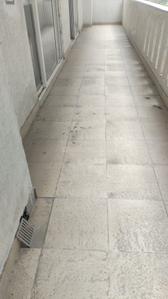 Image of 2500 Sq.ft 4 BHK Builder Floor for rent in Sector 49, Gurgaon for Rs. 78000