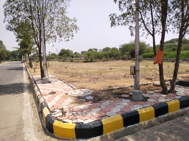 Fortune Butterfly City Main Image 1