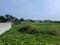 Sonargaon 2 Plot View 1