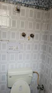 Bathroom Image of 925 Sq.ft 2 BHK Apartment / Flat for rent in Darshan Purwa Kanpur for Rs. 12000