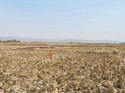 Image of 1089 Sq.ft Residential Plot / Land for sale in Koproli, Navi Mumbai for Rs. 580000
