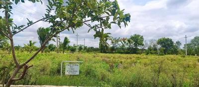 Image of 150 Sq.ft Residential Plot / Land for sale in Shadnagar, Ranga Reddy for Rs. 2100000