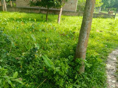 Image of 2880 Sq.ft Residential Plot / Land for sale in Krishnanagar, Nadia for Rs. 2890000
