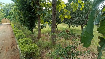 Image of 9000 Sq.ft Residential Plot / Land for sale in Asola, New Delhi for Rs. 65000000