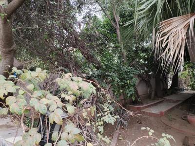 Image of 5500 Sq.ft 3 BHK Villa for sale in Saiyed Vasna, Vadodara for Rs. 31500000
