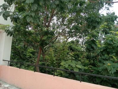 Balcony Image of 1400 Sq.ft 2 BHK Independent House for rent in Bendre Nagar Bengaluru for Rs. 35000