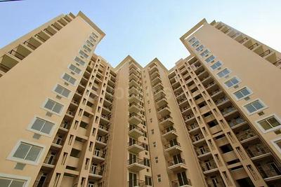 Image of 1650 Sq.ft 4 BHK Apartment / Flat for sale in Tulip Purple, Sector 69, Gurgaon for Rs. 28000000