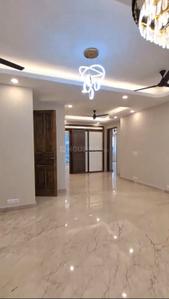 Hall Image of 2700 Sq.ft 4 BHK Builder Floor for rent in Hauz Khas New Delhi for Rs. 250000