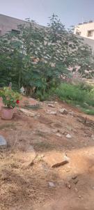 Image of 1200 Sq.ft Residential Plot / Land for sale in Doddanekundi, Bengaluru for Rs. 15600000