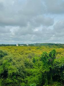 Image of 996 Sq.ft 2 BHK Apartment / Flat for sale in Candolim, Goa for Rs. 22000000