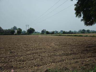 Image of 8000 Sq.ft Residential Plot / Land for sale in Runkata, Agra for Rs. 320000000