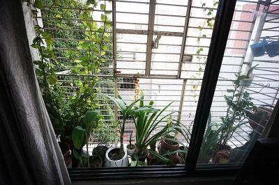 Balcony Image of 1575 Sq.ft 2 BHK Apartment / Flat for sale in Nikol Ahmedabad for Rs. 7000000