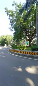 Image of 500 Sq.ft Residential Plot / Land for sale in Sector 19, Chandigarh for Rs. 175000000