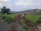 Wagholi Plot View 2