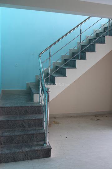 skandaas Main Image 1