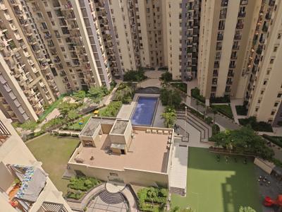 Image of 1000 Sq.ft 2 BHK Apartment / Flat for rent in Pigeon Spring Meadows, Noida Extension, Greater Noida for Rs. 18500