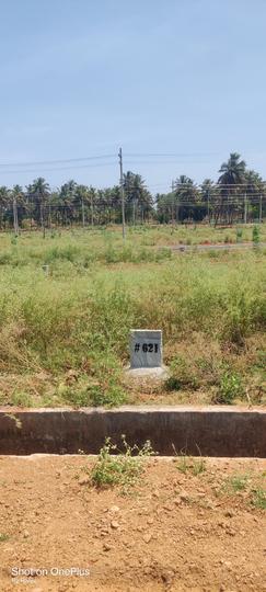 Kesare Main Image 1