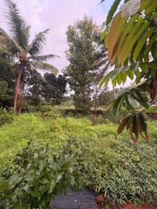 Image of 2200 Sq.ft 3 BHK Farm House for sale in Katapady, Udupi for Rs. 12500000
