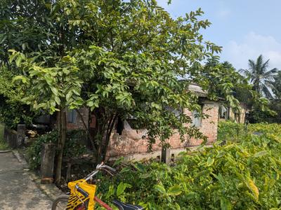 Image of 1260 Sq.ft Residential Plot / Land for sale in Birati, Kolkata for Rs. 2450000