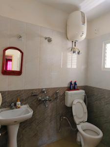 Common Bathroom Image of 1200 Sq.ft 2 BHK Apartment / Flat for rent in Kumbalgodu Bengaluru for Rs. 16200