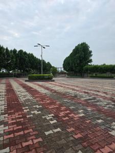 Image of 960 Sq.ft 1 BHK Villa for sale in Dholera, Ahmedabad for Rs. 2000000