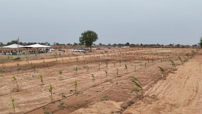 Image of 363 Sq.ft Residential Plot / Land for sale in Chinthapally, Nalgonda for Rs. 1200000