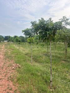 Image of 111 Sq.ft Residential Plot / Land for sale in Kothavalasa, Visakhapatnam for Rs. 666000