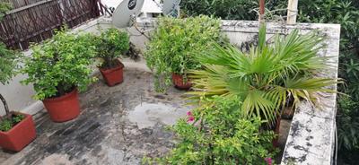 Image of 3762 Sq.ft Residential Plot / Land for sale in Sector 128, Noida for Rs. 200000000