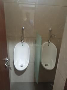 Bathroom Image of 1250 Sq.ft 3 BHK Builder Floor for rent in Ernakulam South Kochi for Rs. 72000