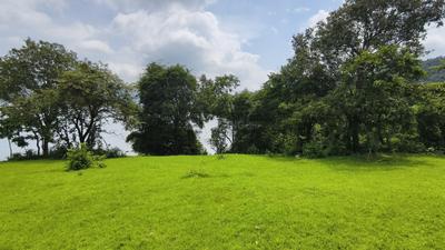 Image of 80000 Sq.ft Residential Plot / Land for sale in MV Mango Lakefront Tapola Phase 1, Ahire, Satara for Rs. 25000000