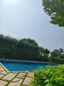 Image of 5000 Sq.ft Residential Plot / Land for sale in Tatibandh, Raipur for Rs. 2255000