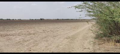 Image of 548778 Sq.ft Residential Plot / Land for sale in Visalpur, Ahmedabad for Rs. 270000000