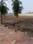 Mumatpura Plot View 2