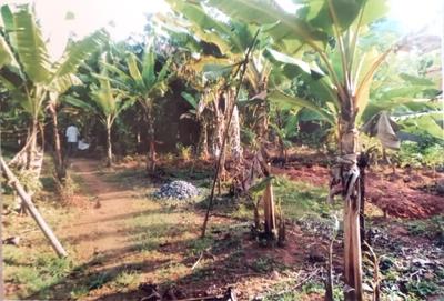 Image of 16988 Sq.ft Residential Plot / Land for sale in Karimankulam, Thiruvananthapuram for Rs. 25400000