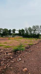 Image of 1231 Sq.ft Residential Plot / Land for sale in Kingstown, Dunda, Raipur for Rs. 4677800