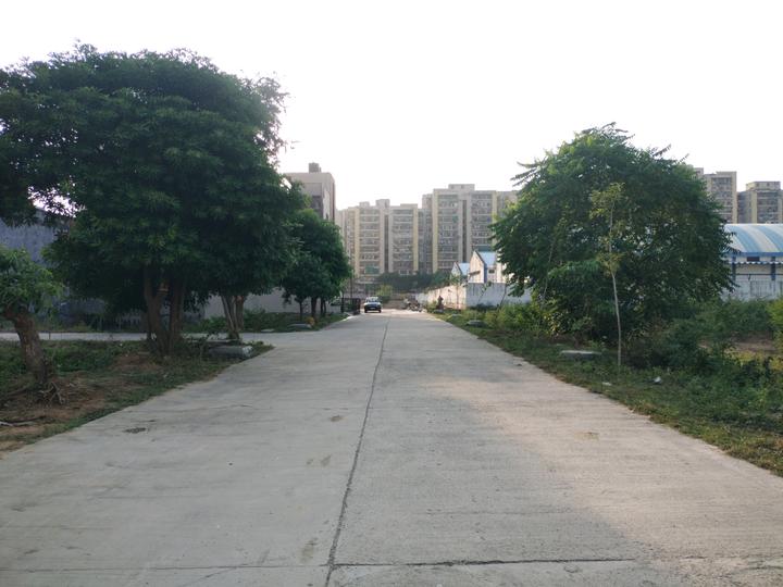 RPS City, Sector 88 Main Image 1